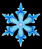 Colour-enhanced image of snowflake from resin cast