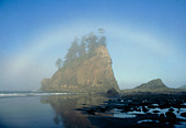 View from a beach of a fogbow over a stack