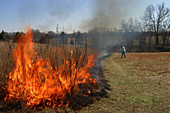 Controlled burning of the prairie