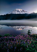 Mount Ranier