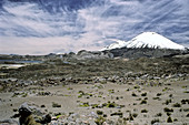 'Parinacota volcano,Chile'
