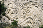 Folded Limestone