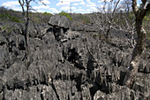 Tsingy limestone,Madagascar