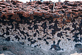 Laterite Soil Profile