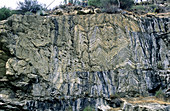 Crumpled Strata of Metamorphic Rocks