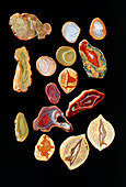 Cut agates