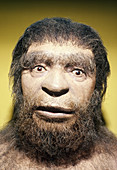 Classic Neanderthal Man