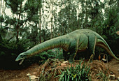 Model of Brontosaurus dinosaur