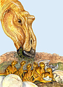 Maiasaurus family