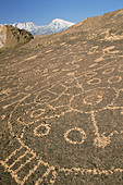 Petroglyphs at the Great Basin,CA