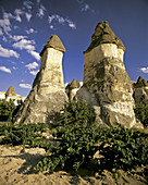 'Fairy Chimneys of Cappadocia,Turkey'