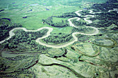 Blackfoot River riparian system