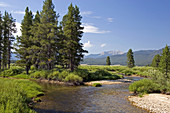 'Salmon River,Idaho'