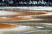 Hot springs at Yellowstone National Park