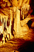 Limestone formations in Lehman Caves,Nevada