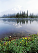 Wildflowers at Reflection Lake