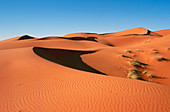 Sand dunes,Arabian desert