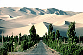 Gobi Desert,China