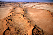 'Aerial view of linear sand dunes,Namibia'
