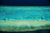 Aerial of Wistari Reef