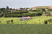Brazilian Farm