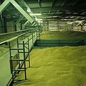 Farm grain store