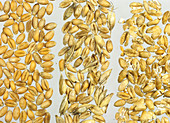Grain quality comparison
