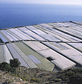 Polyethylene greenhouses