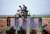Spraying fields for pests
