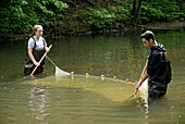 Students using a seine net to sample river
