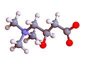 L-Carnitine food supplement molecule