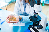 Lab technician holding legumes