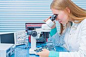 Lab assistant using microscope