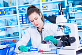 Scientist testing samples in lab