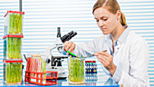 Technician working in lab with plants