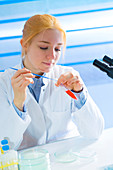 Lab technician holding test tube