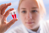 Lab technician holding eppendorf tubes