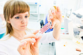 Lab technician holding a lab on a chip