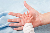 Parent holding newborn baby's hand