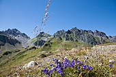 Pizol mountain,Switzerland