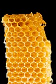 Honeycomb,close up