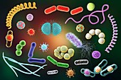 Microbes,illustration