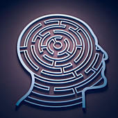 Human head in shape of maze,illustration
