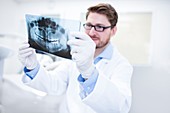 Dentist holding x-ray