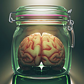 Human brain in glass jar