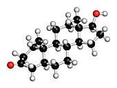 Dihydrotestosterone hormone,illustration