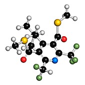 Dithiopyr molecule,illustration