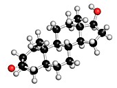 Drostanolone molecule,illustration