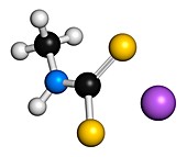 Metam sodium molecule,illustration