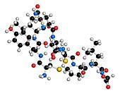 Oxytocin hormone molecule,illustration